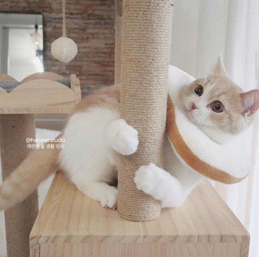 Toast Cute Soft Princess Style Fairy Elizabeth Young Cat Collar Scarf Head Cover Anti-Licking Anti-Bite Sterilization