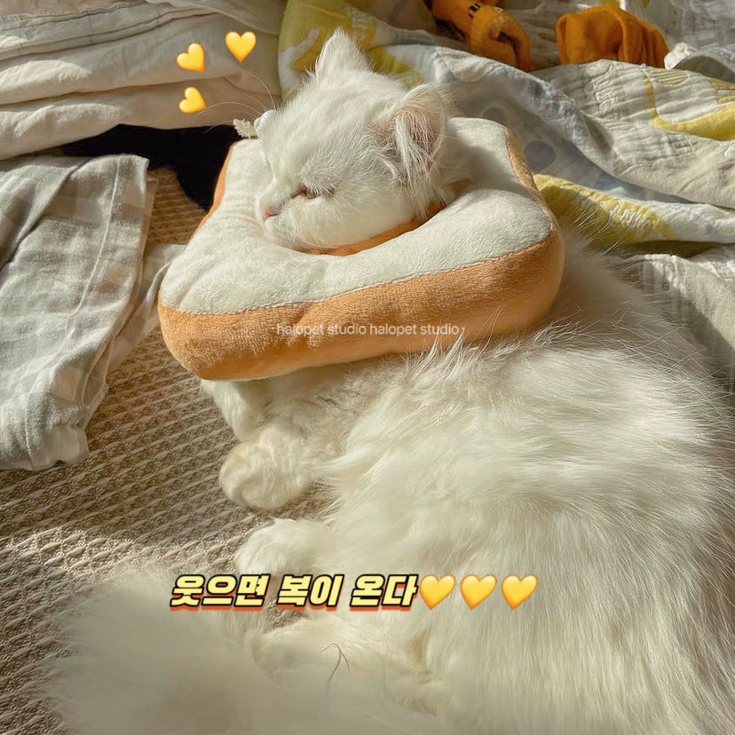 Toast Cute Soft Princess Style Fairy Elizabeth Young Cat Collar Scarf Head Cover Anti-Licking Anti-Bite Sterilization
