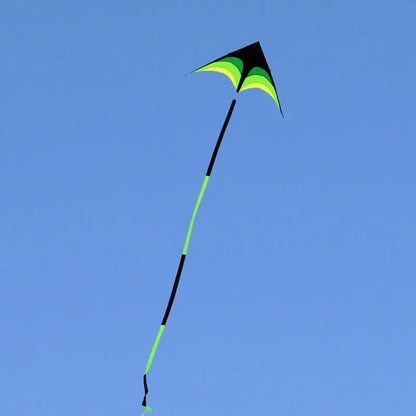 Free shipping large delta kites flying toys for children kites handle line outdoor sports kites nylon professional wind kites