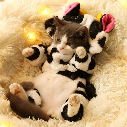Cat Clothes Winter Anti-Lint Exclusive for Cats Small Clothes Cute Four-Legged Pet Clothing British Shorthair American Shorthair Ragdoll Winter Clothes