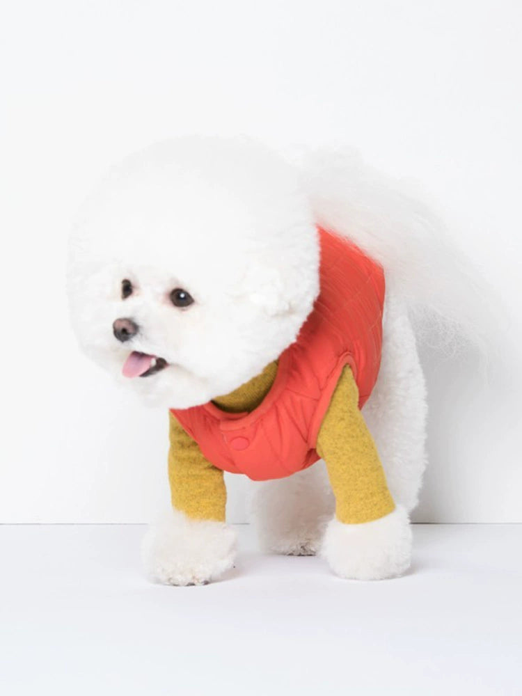 Sniff Pet Dog Cat Autumn and Winter Clothes Teddy/French Bulldog Corgi Brushed Turtleneck Comfortable Casual Sweater