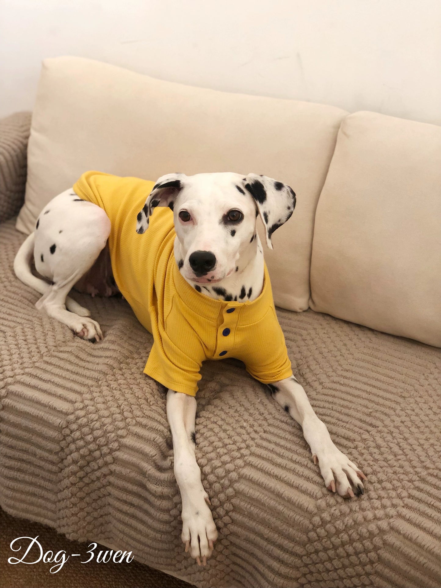 3wen Dog [Two-Leg Knitted Bottoming Shirt] Medium Large Dog Dog Clothes Golden Retriever/Border Collie Labrador
