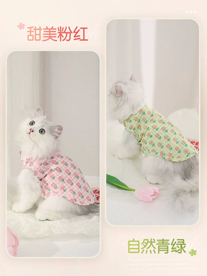 Cat Clothes Summer Anti-Lint Breathable Pet Kittens Kitten British Shorthair Ragdoll Pajamas Cat Summer Thin