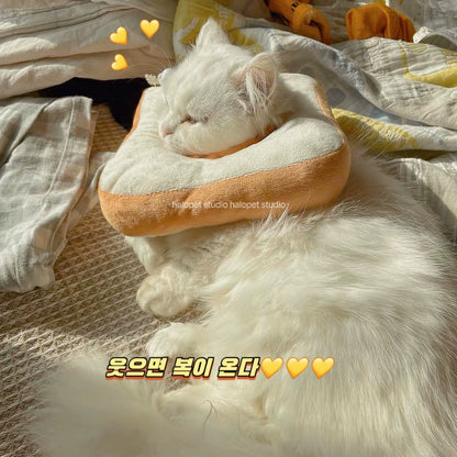 Toast Cute Soft Princess Style Fairy Elizabeth Young Cat Collar Scarf Head Cover Anti-Licking Anti-Bite Sterilization