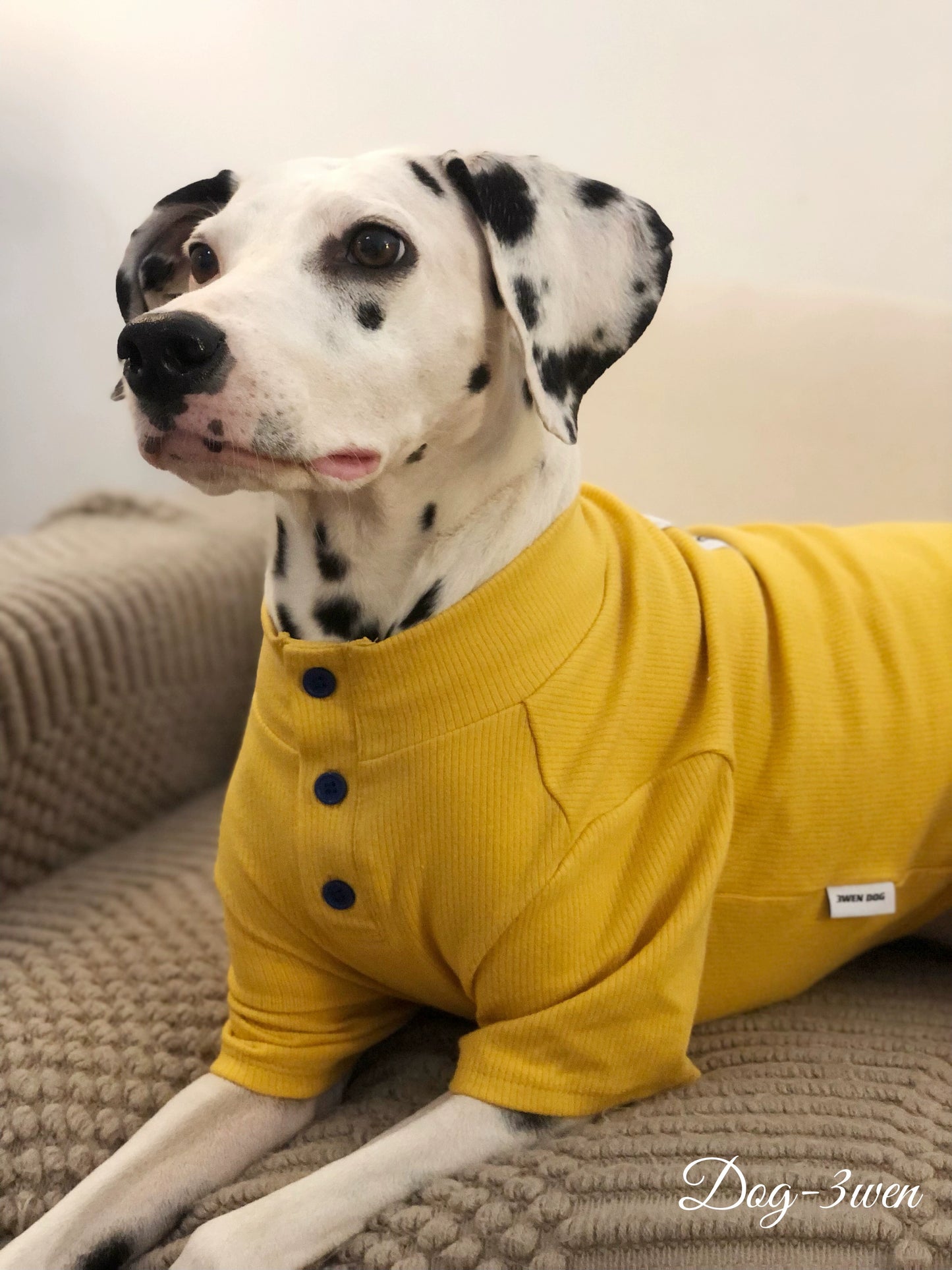 3wen Dog [Two-Leg Knitted Bottoming Shirt] Medium Large Dog Dog Clothes Golden Retriever/Border Collie Labrador
