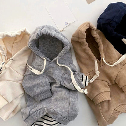 Hooded Pet Sweatshirt Autumn Kitty Schnauzer Small Puppies Puppy Clothes Teddy Bichon Autumn and Winter