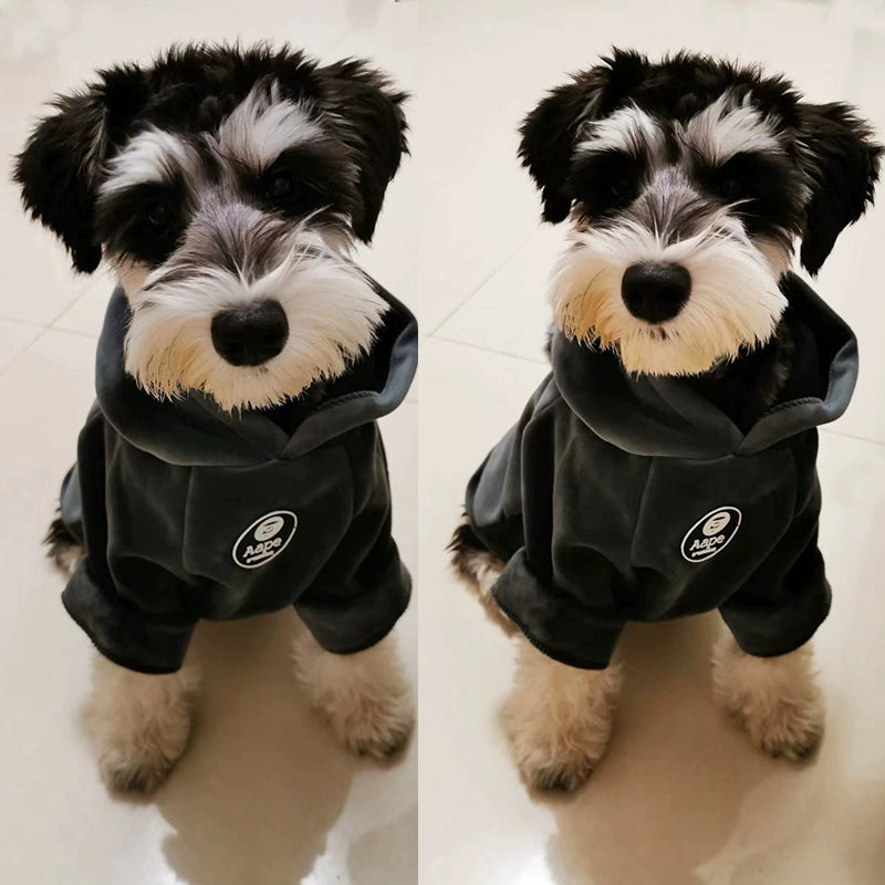 Teddy Schnauzer Bichon Pomeranian Thickened Dog Clothes