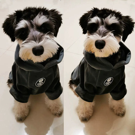 Teddy Schnauzer Bichon Pomeranian Thickened Dog Clothes
