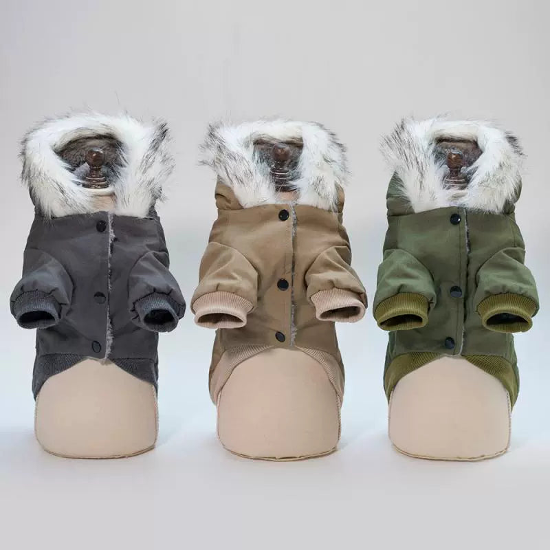 Teddy Winter Warm Two-Legged Military Pet Dog