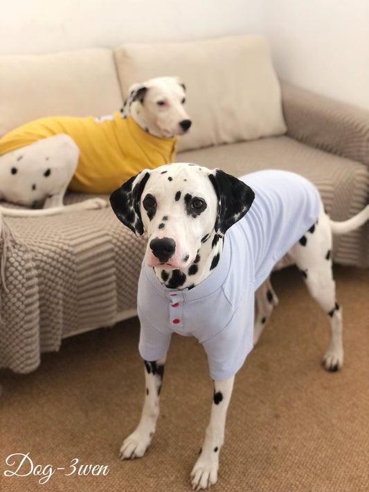 3wen Dog [Two-Leg Knitted Bottoming Shirt] Medium Large Dog Dog Clothes Golden Retriever/Border Collie Labrador