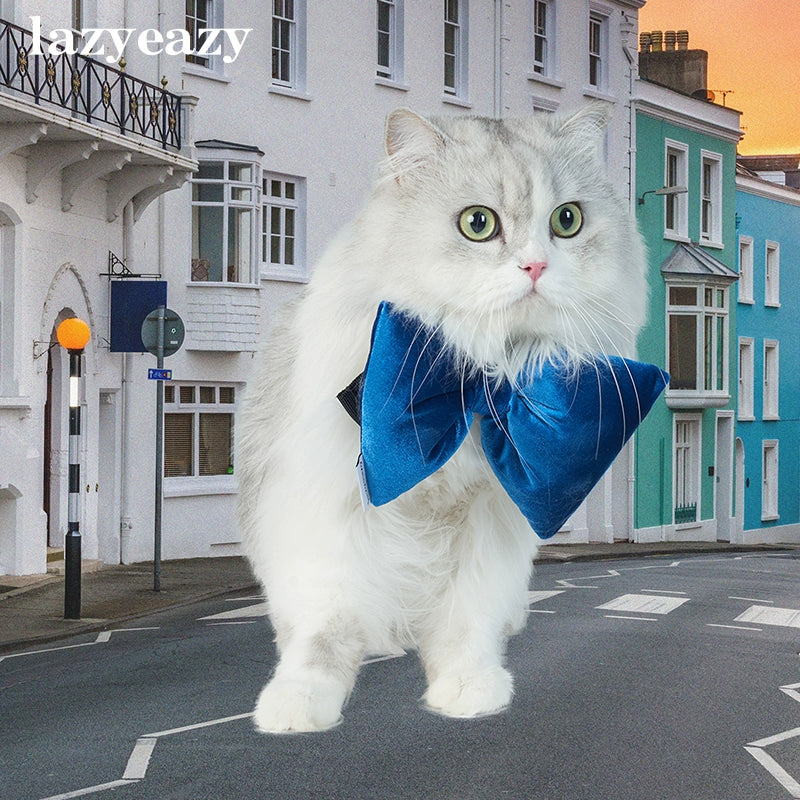 Lazyeazy Pet Kitten Dog Velvet Bow Knot Holiday Bow Tie Atmosphere Adjustable Cotton Filling Cute Photo