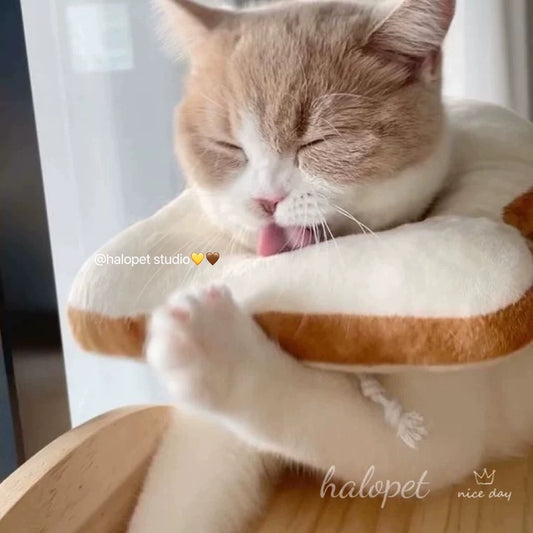 Toast Cute Soft Princess Style Fairy Elizabeth Young Cat Collar Scarf Head Cover Anti-Licking Anti-Bite Sterilization