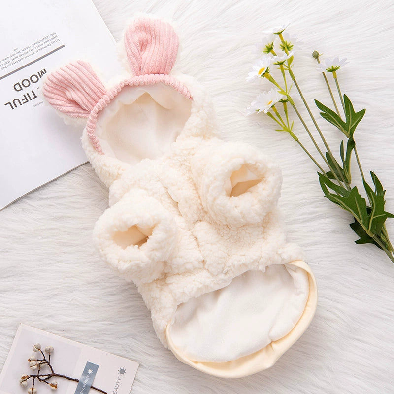 Cute Cat Clothes Autumn and Winter Thickened Kitten Blue Cat Kittens Ragdoll Hairless Cat Pet Winter Clothing