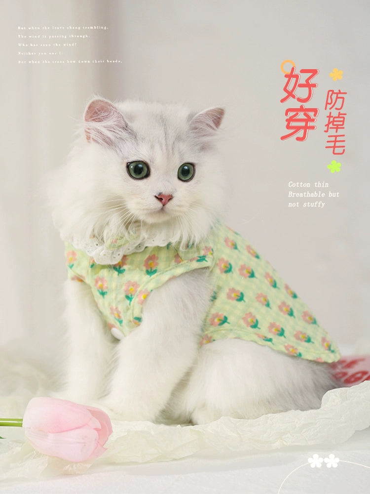 Cat Clothes Summer Anti-Lint Breathable Pet Kittens Kitten British Shorthair Ragdoll Pajamas Cat Summer Thin