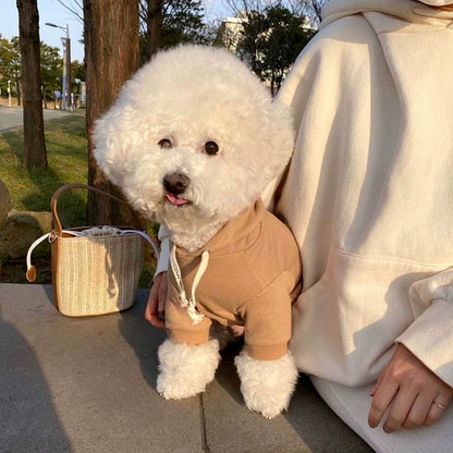 Hooded Pet Sweatshirt Autumn Kitty Schnauzer Small Puppies Puppy Clothes Teddy Bichon Autumn and Winter
