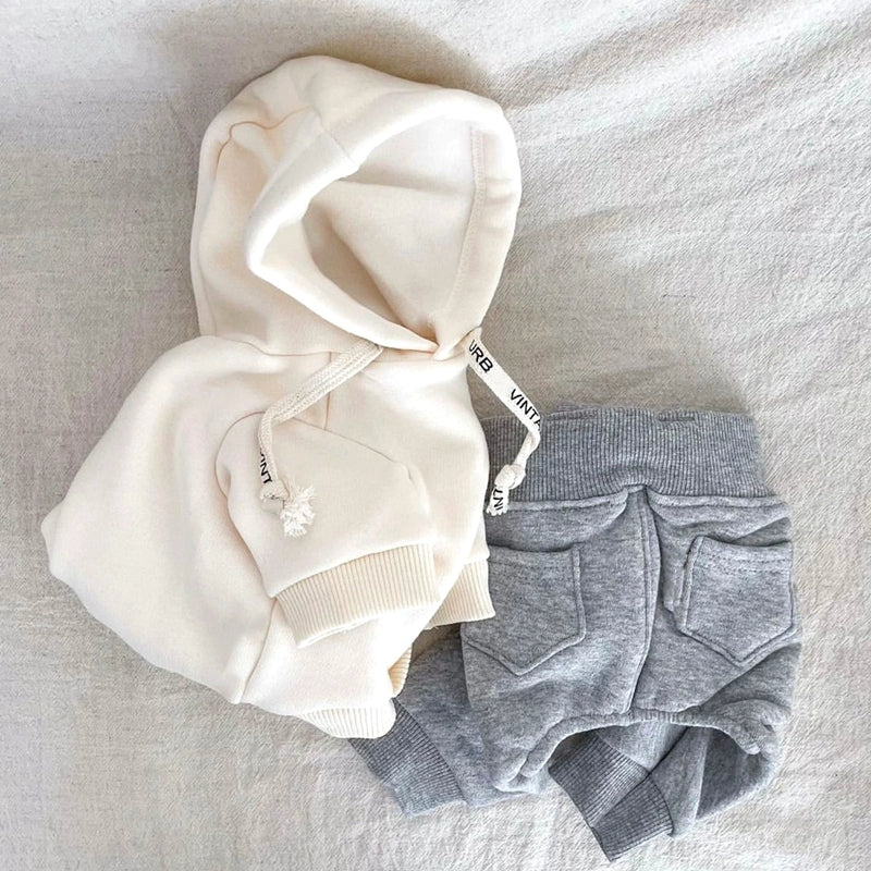 Hooded Pet Sweatshirt Autumn Kitty Schnauzer Small Puppies Puppy Clothes Teddy Bichon Autumn and Winter