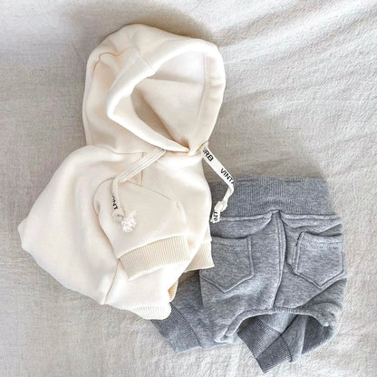 Hooded Pet Sweatshirt Autumn Kitty Schnauzer Small Puppies Puppy Clothes Teddy Bichon Autumn and Winter