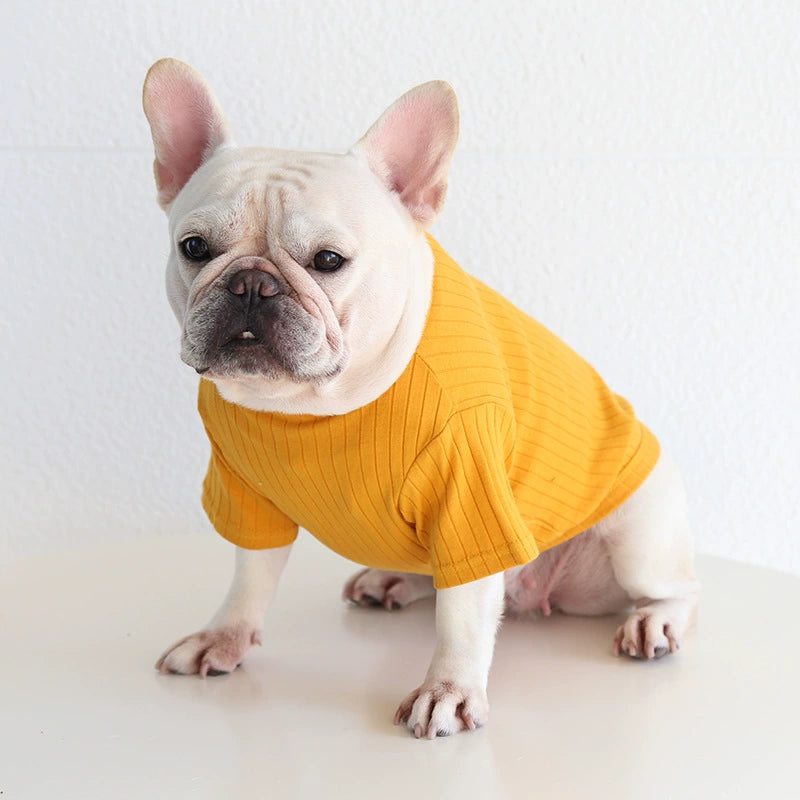 Dog Cotton Sunken Stripe Easiest for Match Obesity Pug Bully Jarre Aero Bull