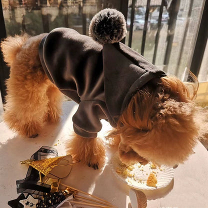 Teddy Schnauzer Bichon Pomeranian Thickened Dog Clothes