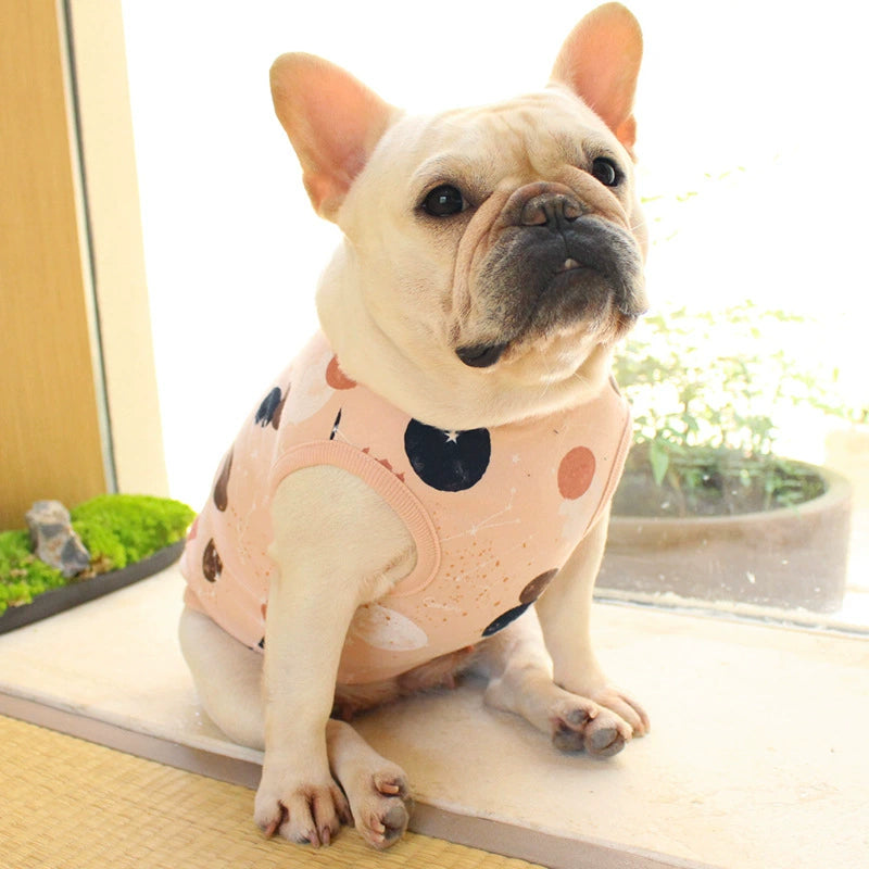 Jarre Aero Bull Space Deer Sweater Soft Cotton Cute Fat Dog Clothes Jiafei Yingdou Pug Spring Bully Sun-Proof and Breathable